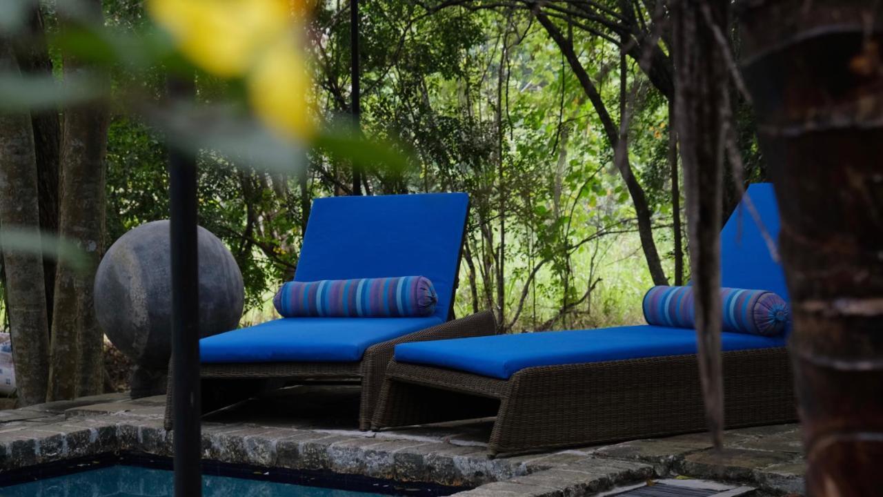 Mind Body And Soul Hotel Dambulla Kültér fotó