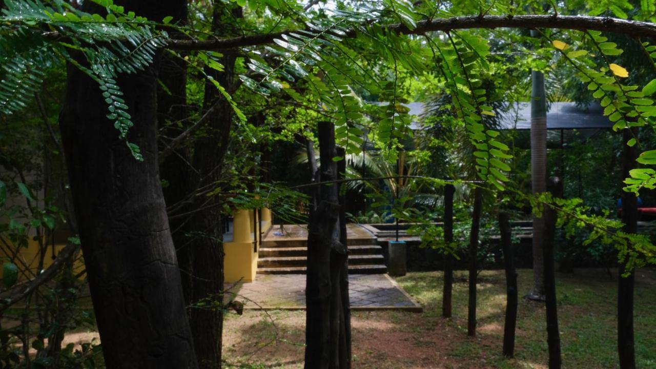 Mind Body And Soul Hotel Dambulla Kültér fotó