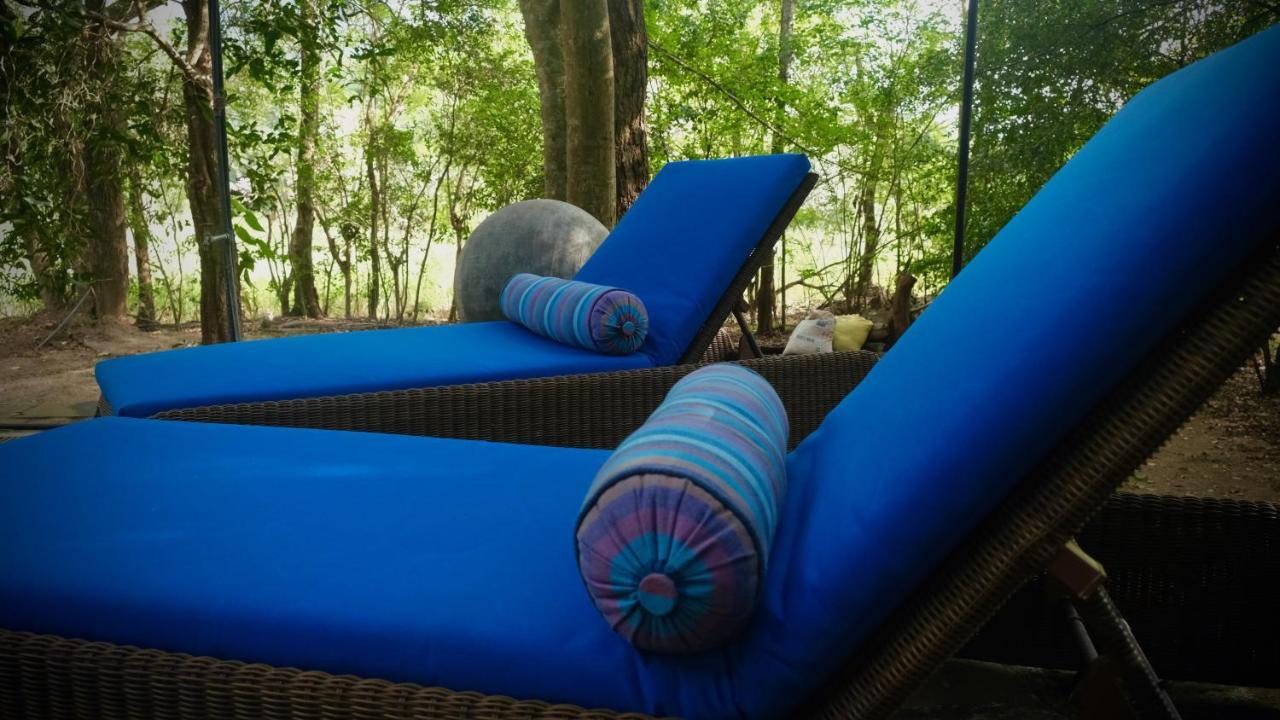 Mind Body And Soul Hotel Dambulla Kültér fotó