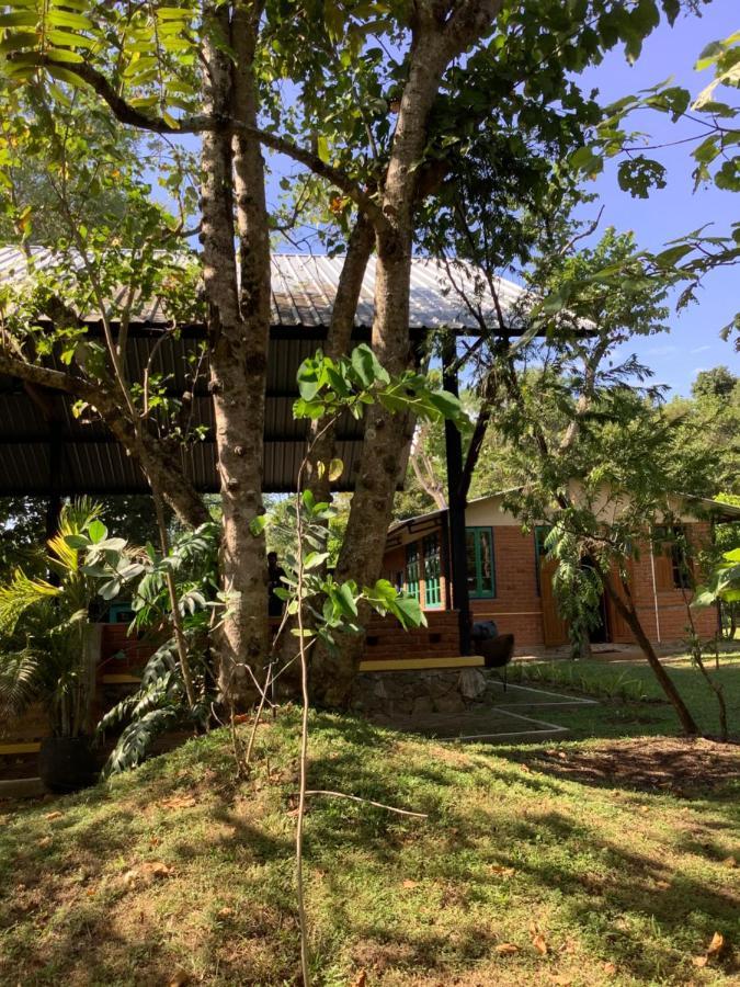 Mind Body And Soul Hotel Dambulla Kültér fotó
