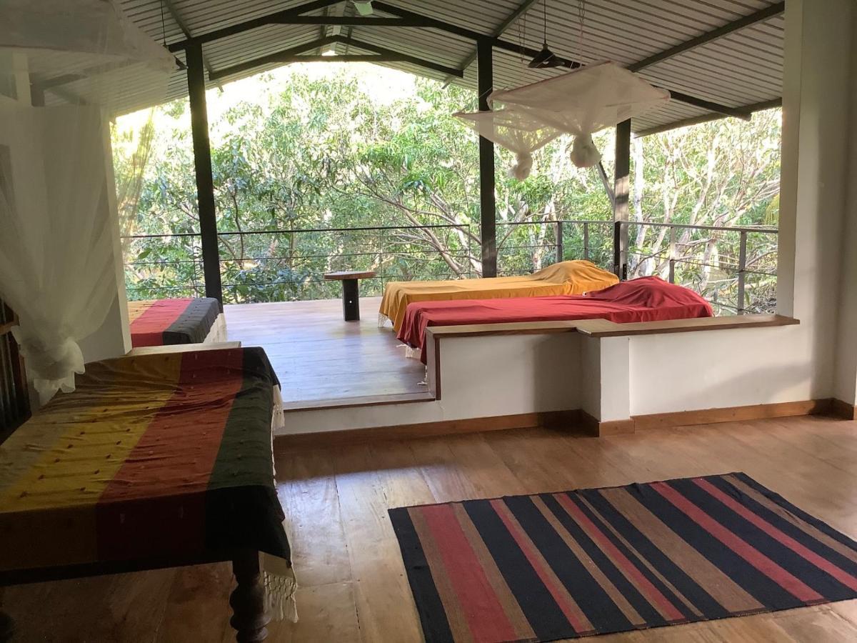Mind Body And Soul Hotel Dambulla Kültér fotó