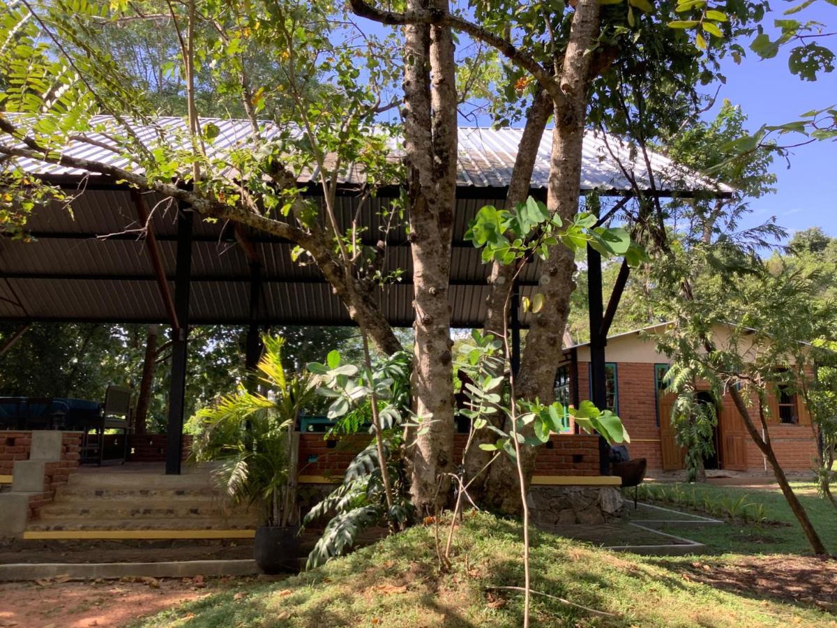 Mind Body And Soul Hotel Dambulla Kültér fotó