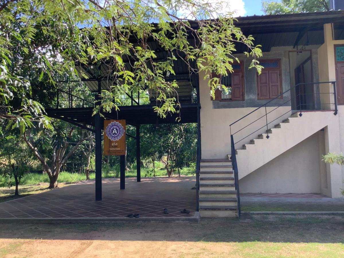 Mind Body And Soul Hotel Dambulla Kültér fotó