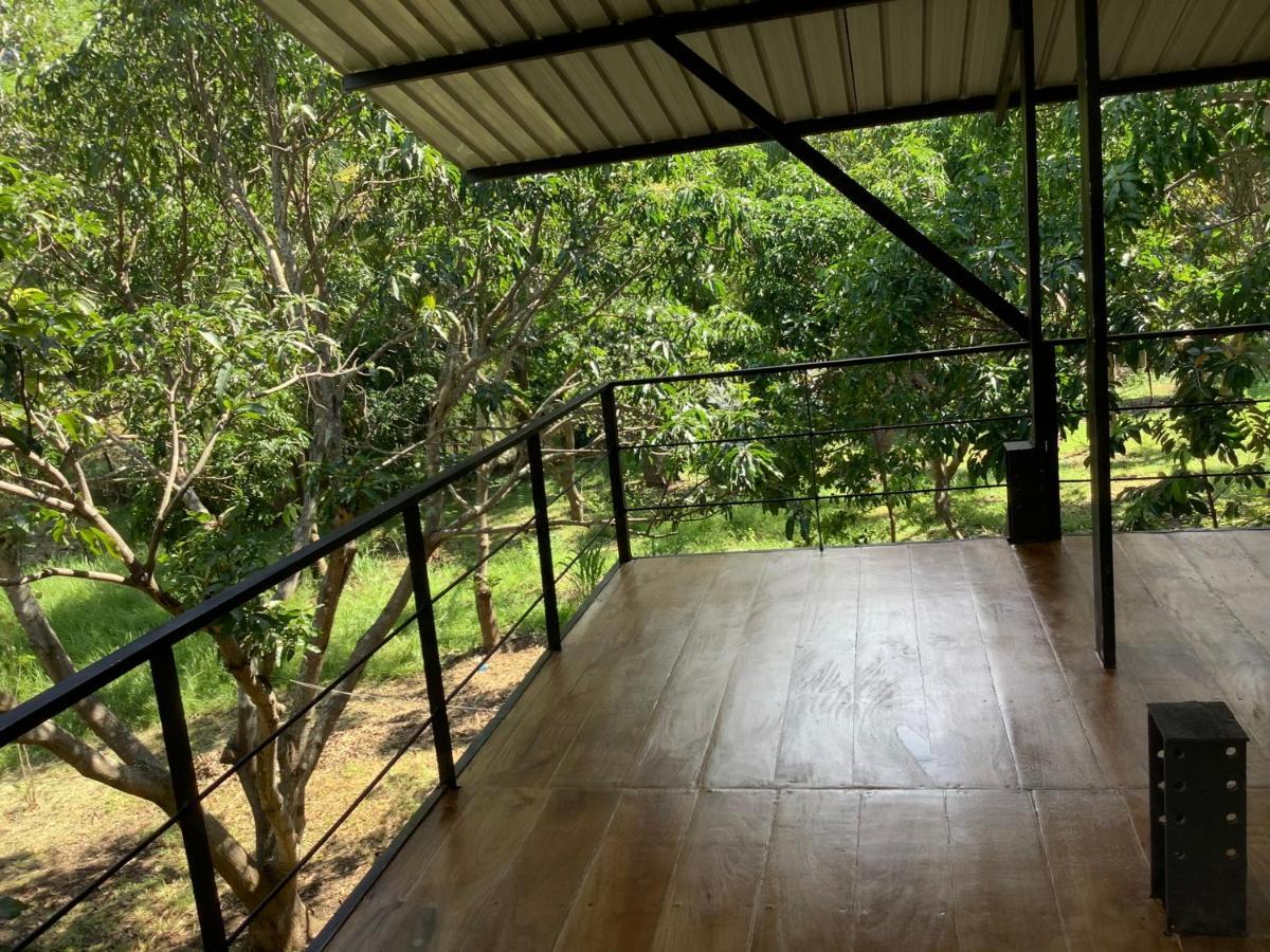 Mind Body And Soul Hotel Dambulla Kültér fotó